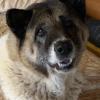 Bella was rescued in July 2020
...

A beauty of a PET